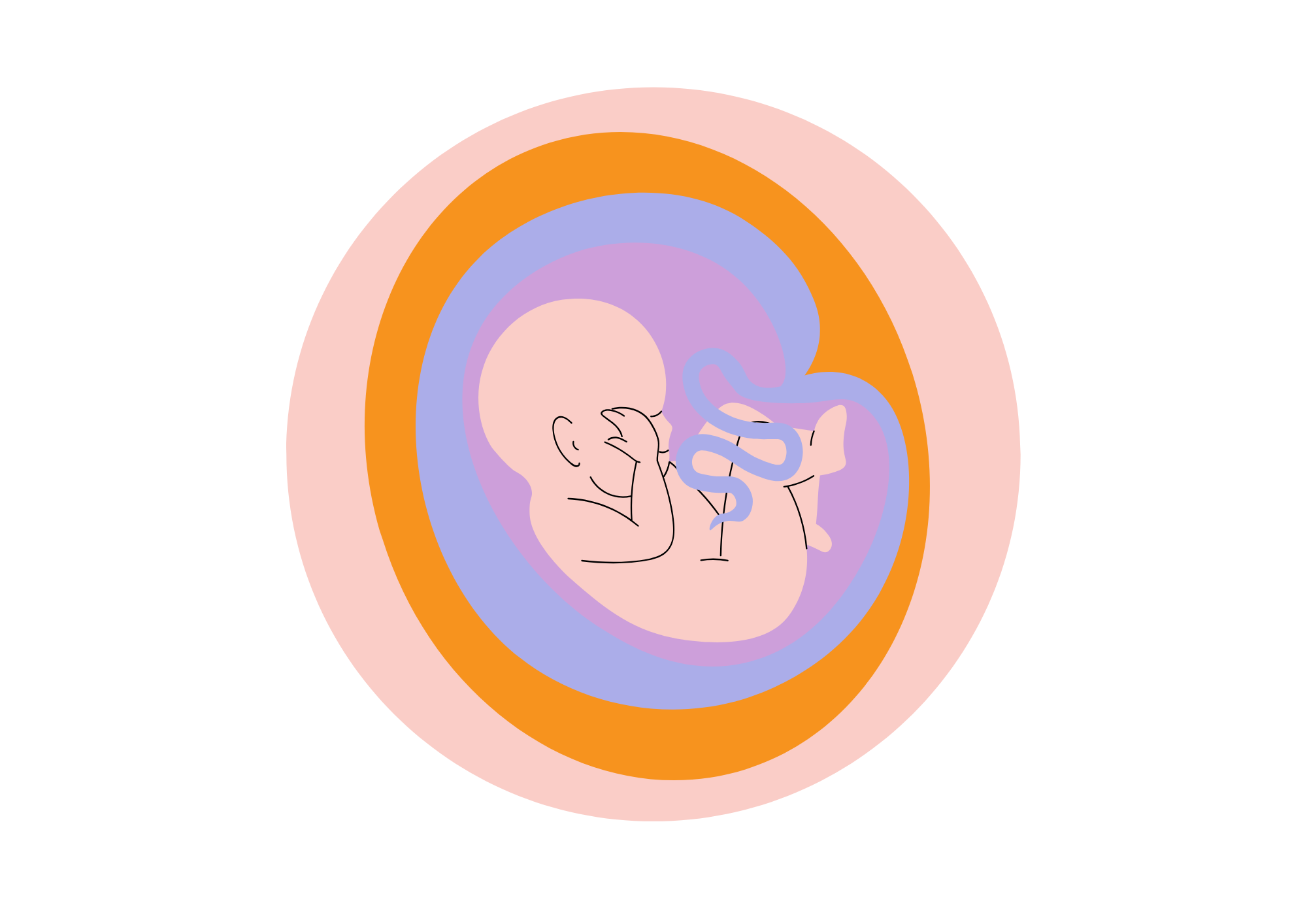 logo amvpa